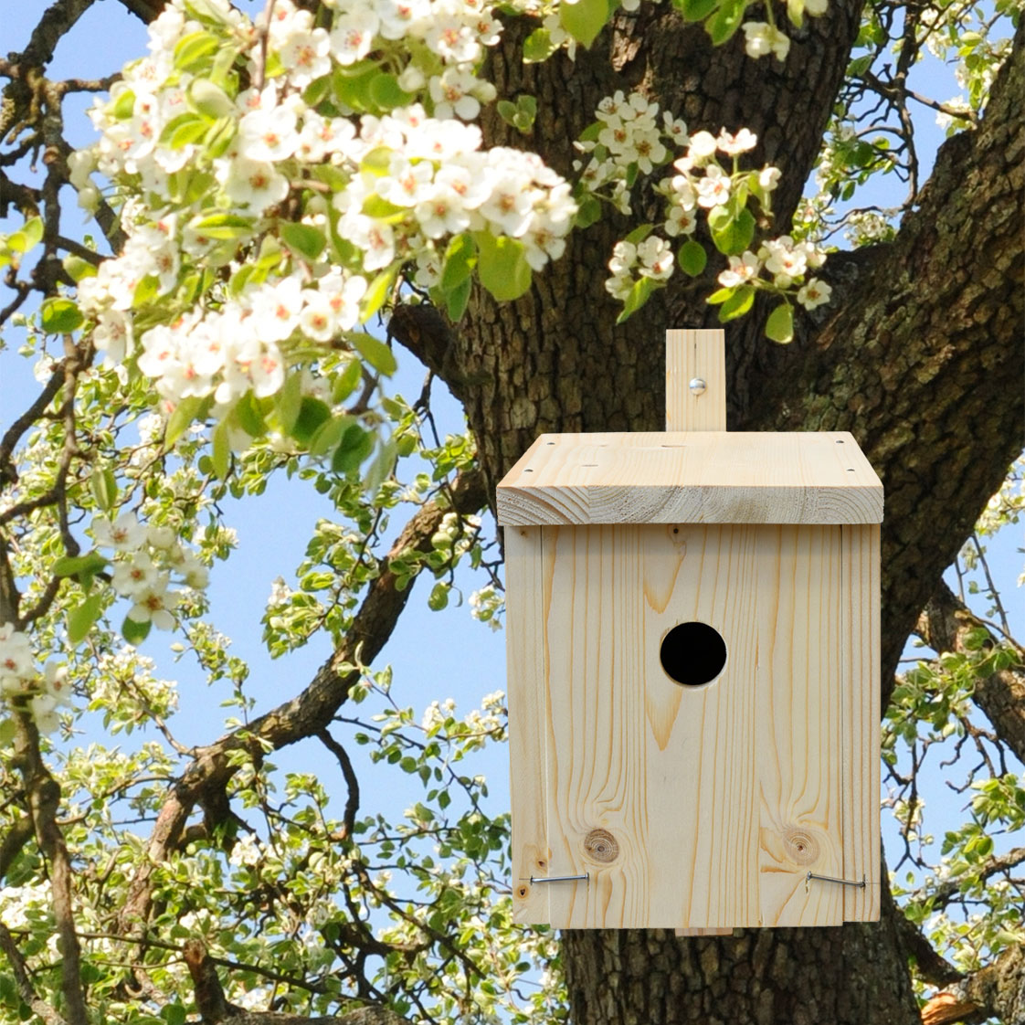 Madárház építő - Fészkelő doboz