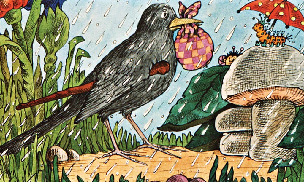 A nagyravágyó feketerigó