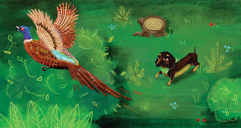 Borsi az erdőben (Ringató-mese)