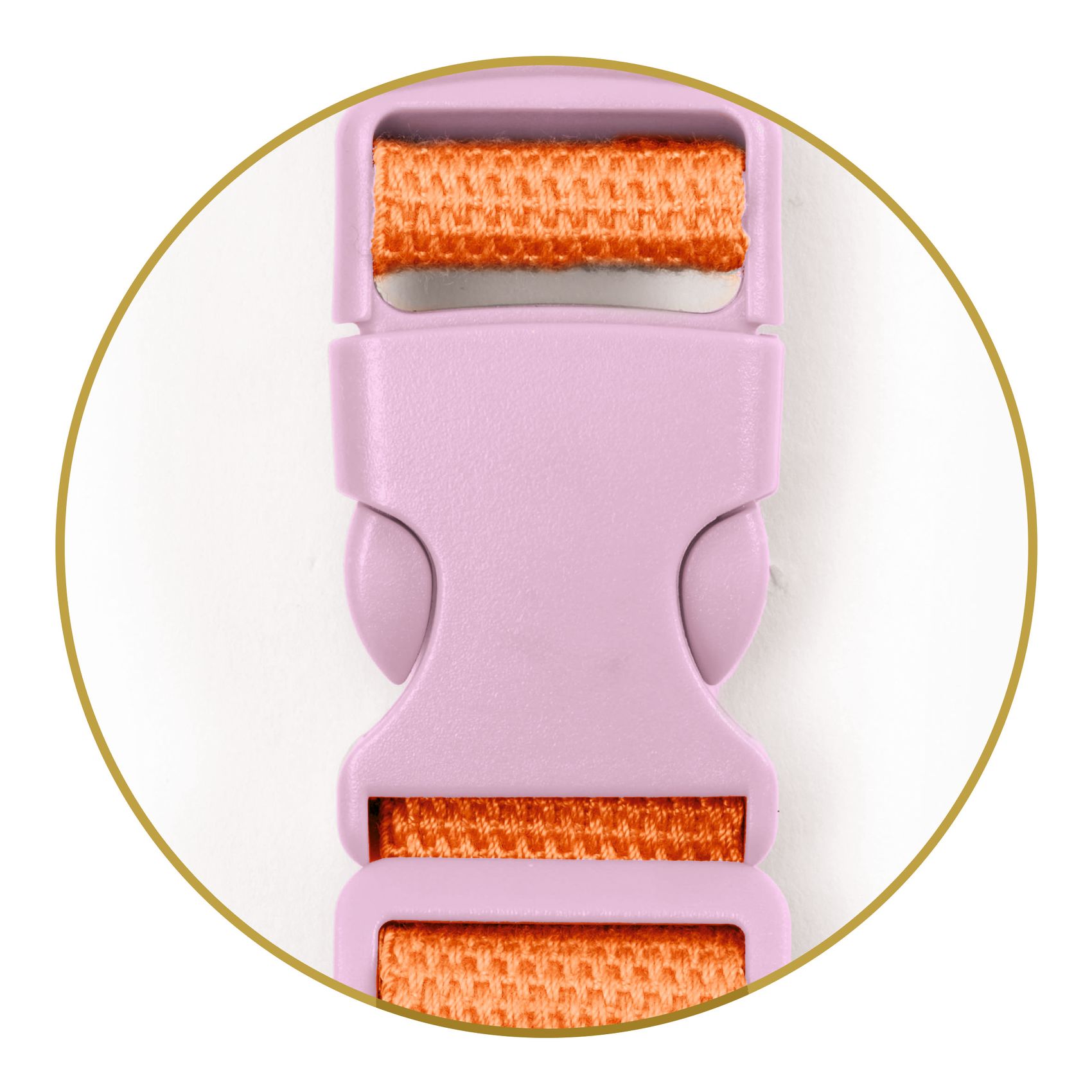 Övtáska - Repkedő madaras - Poetic birds