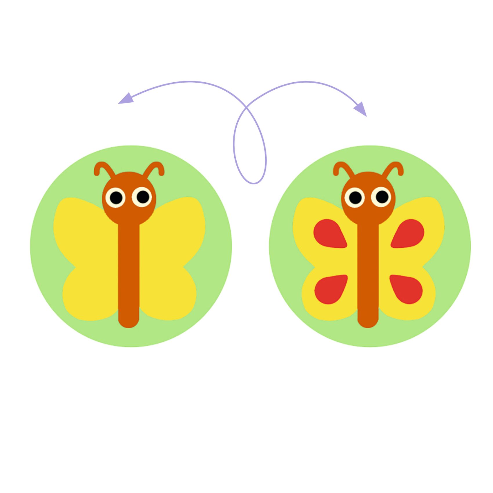 Felfedező játék - Képsorrend - Gardimix