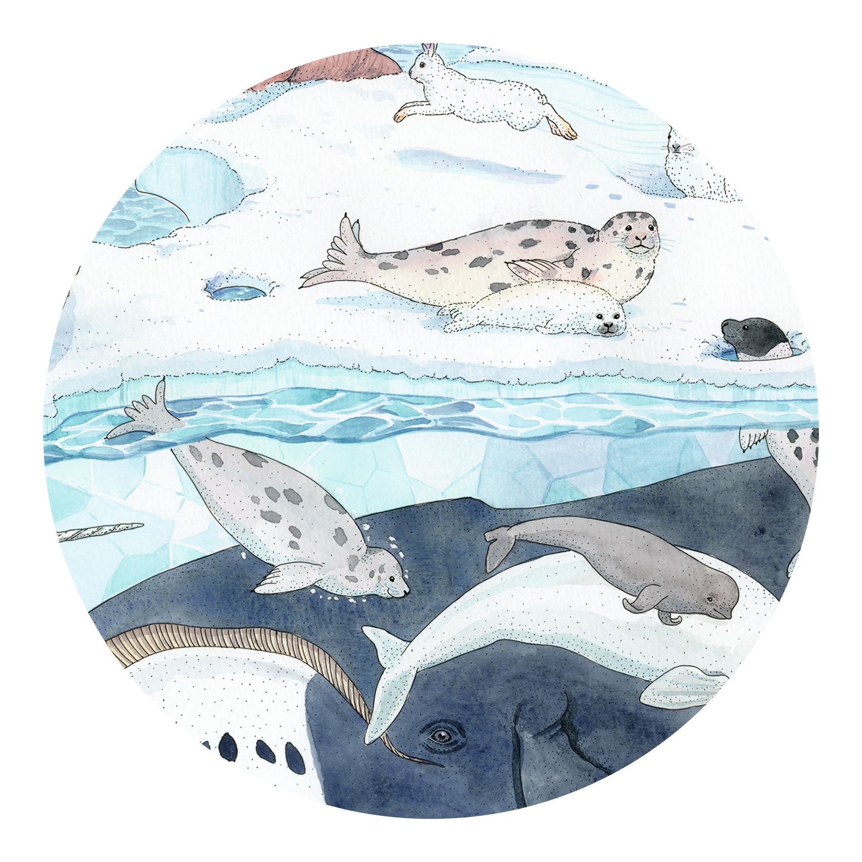 Formadobozos puzzle - Élet a sarkvidéken, 54 db-os - Polar softness