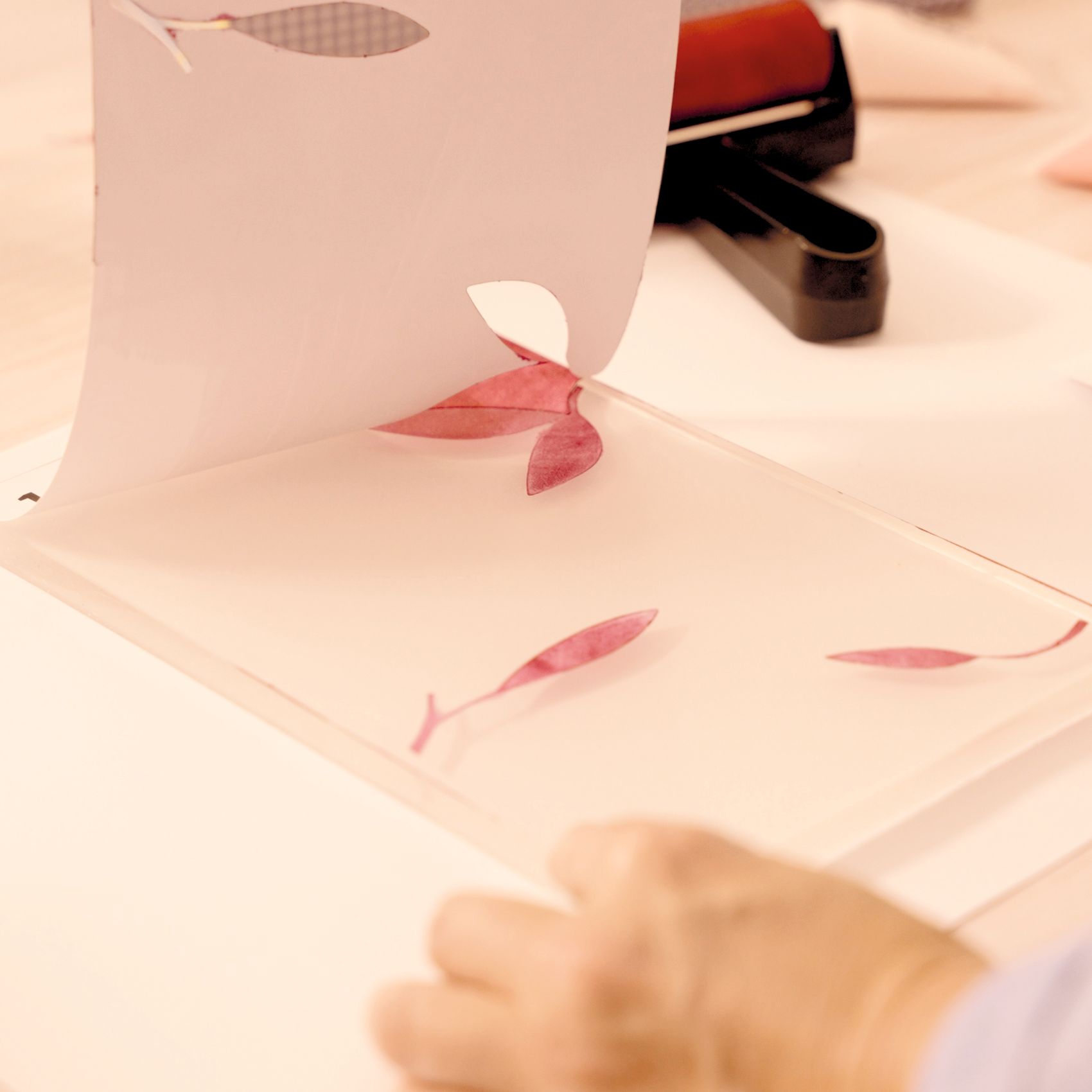 Műterem 46 - Gélnyomtatás, Színtár - Atelier 46, Gel Printing